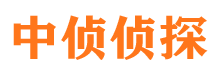 祥云寻人公司